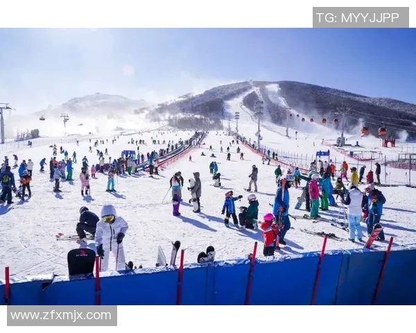 冰雪赛事雪道整理的重要性与最佳实践探讨