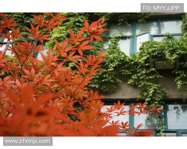 西班牙人后卫梅格雷宣布解约:这背后的故事远不止“解约”那么简单 西班牙人后卫梅格雷宣布解约:这背后的故事远不止“解约”那么简单